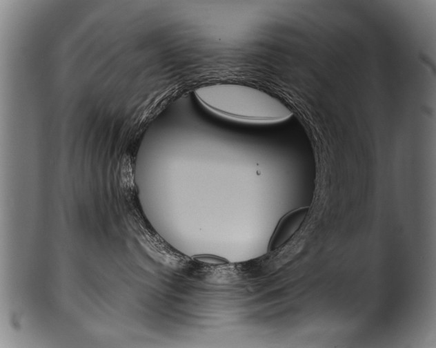 X0000100980384200806241154
