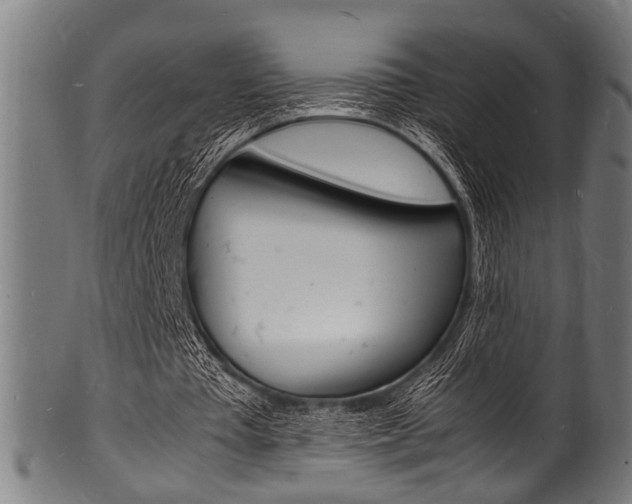 X0000100980385200806241153