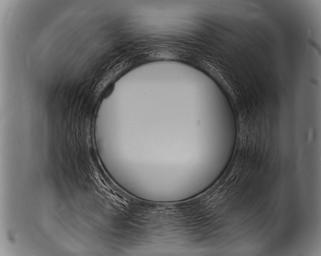 X0000100980386200806241153