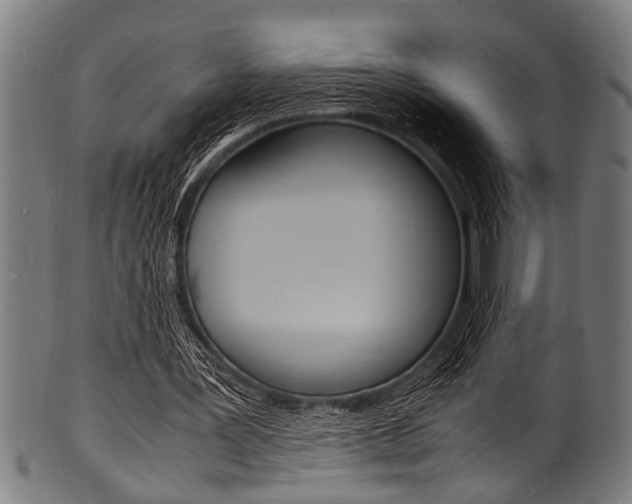 X0000100980387200806241153