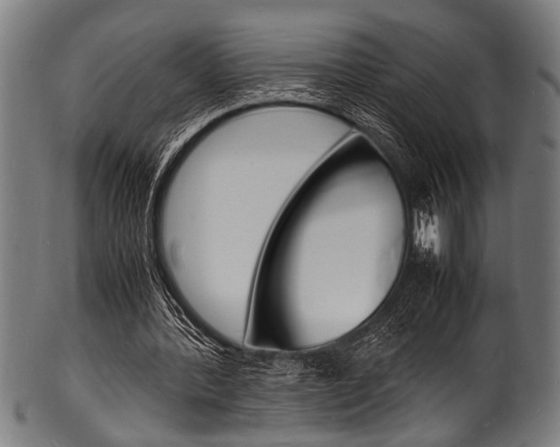 X0000100980388200806241153
