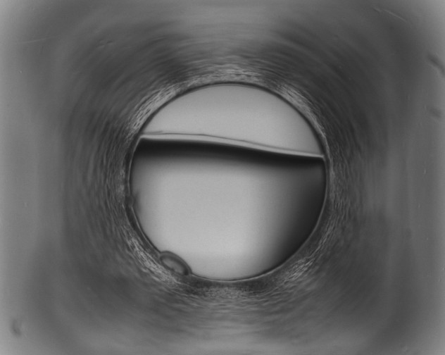 X0000100980389200806241153