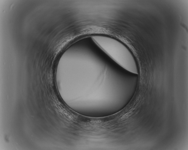 X0000100980391200806241153
