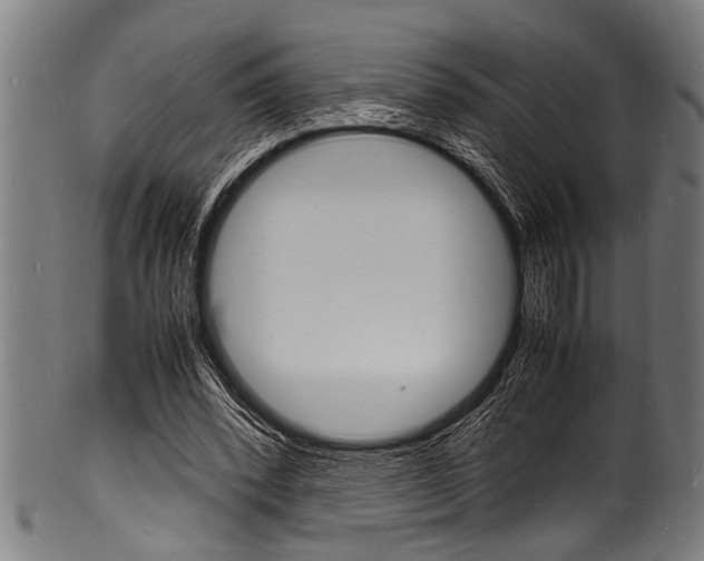 X0000100980392200806241153