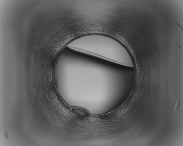 X0000100980393200806241153