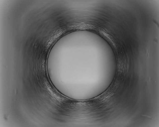 X0000100980394200806241153