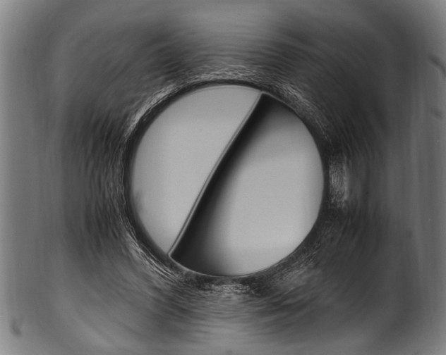 X0000100980396200806241153