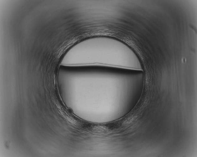 X0000100980397200806241153