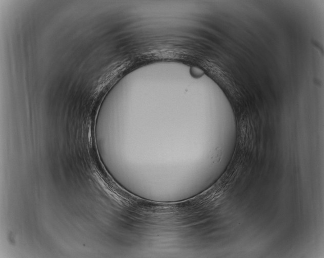 X0000100980398200806241153