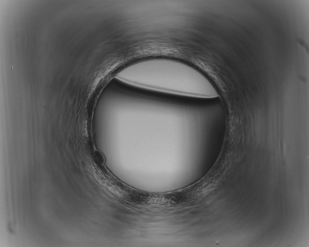 X0000100980399200806241153