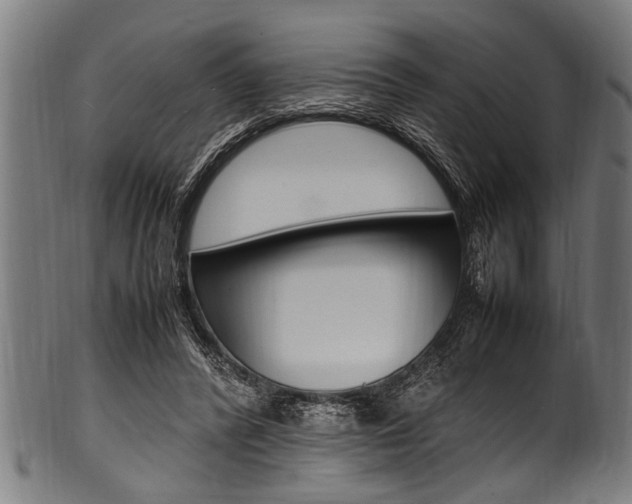 X0000100980400200806241153