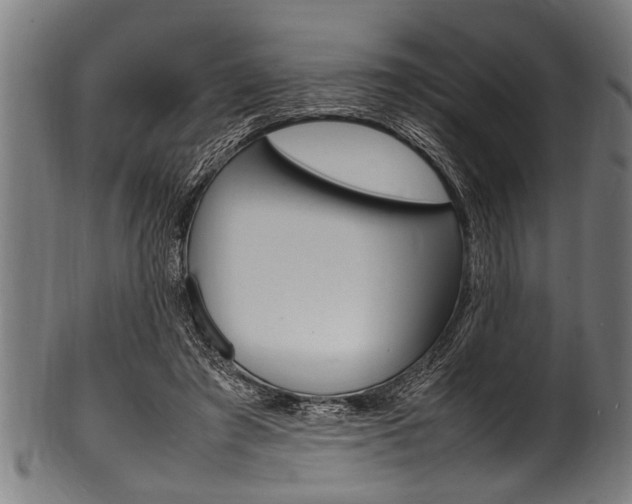 X0000100980401200806241153