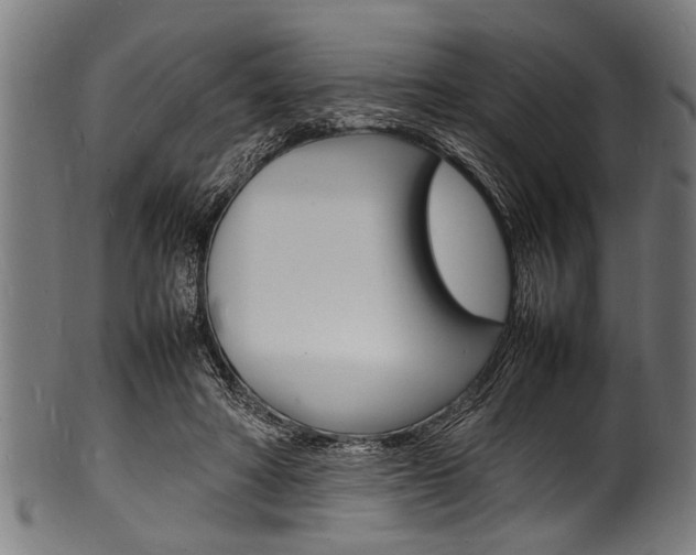 X0000100980402200806241153