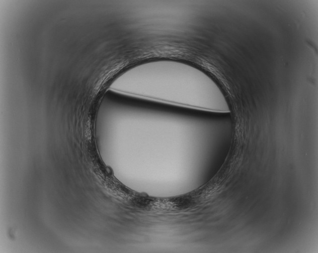 X0000100980403200806241153