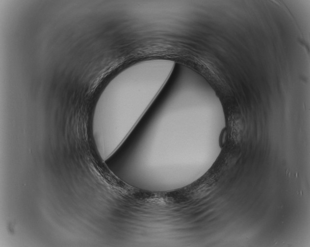 X0000100980404200806241153