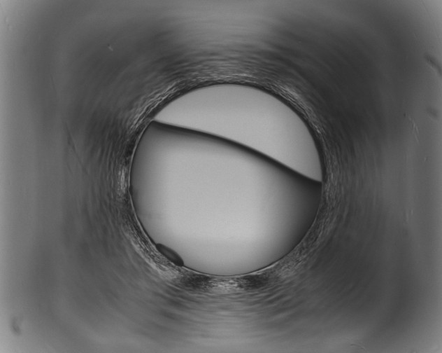 X0000100980405200806241153