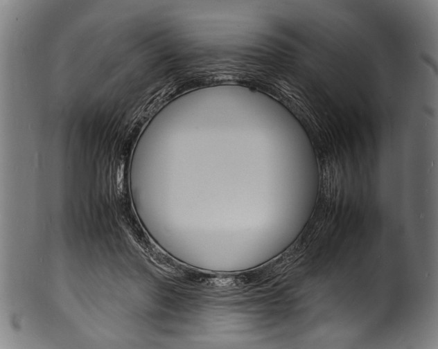 X0000100980406200806241153