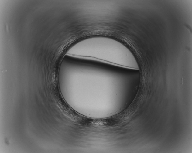 X0000100980407200806241153