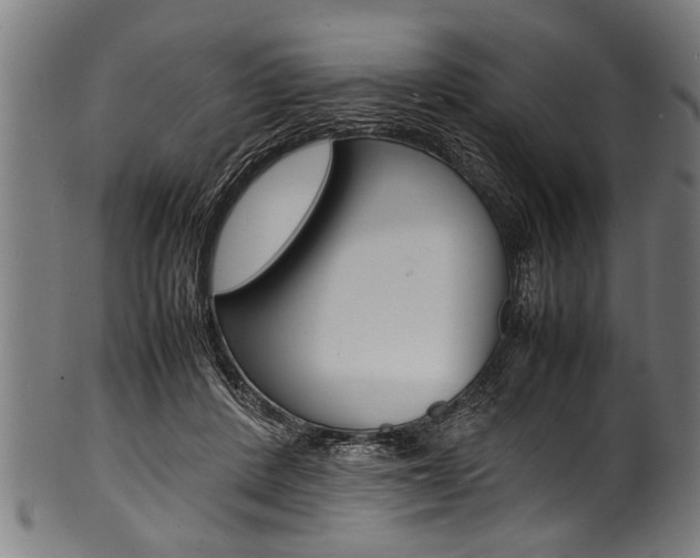 X0000100980408200806241153