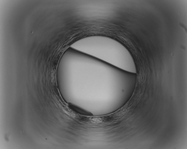 X0000100980409200806241153