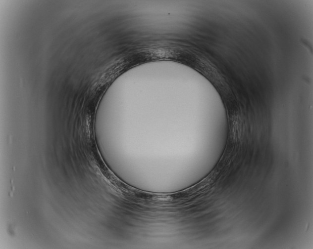 X0000100980410200806241153