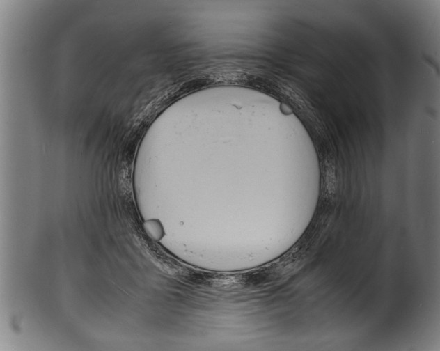 X0000100980411200806241153