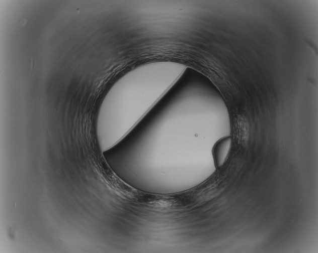 X0000100980412200806241153