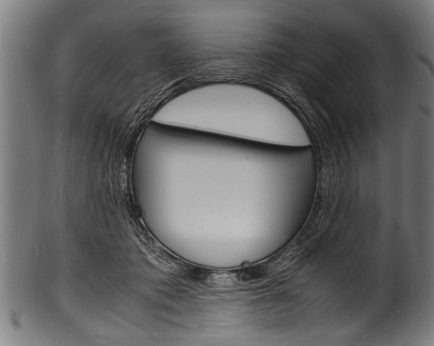 X0000100980413200806241153