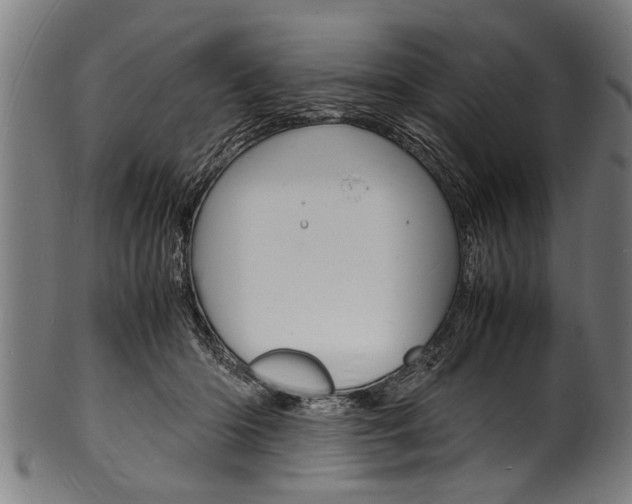X0000100980414200806241153