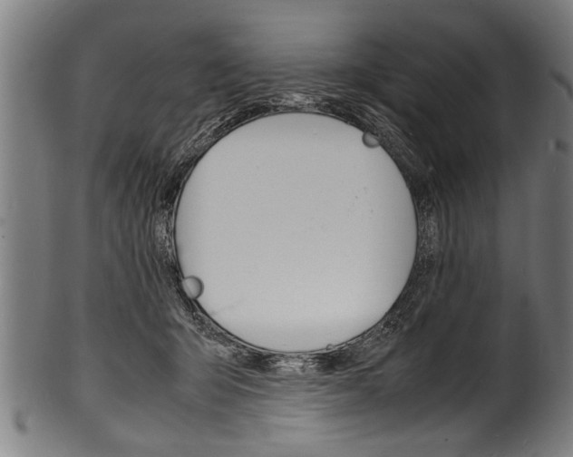 X0000100980415200806241153