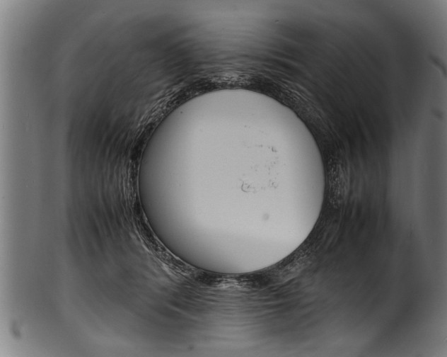X0000100980416200806241153