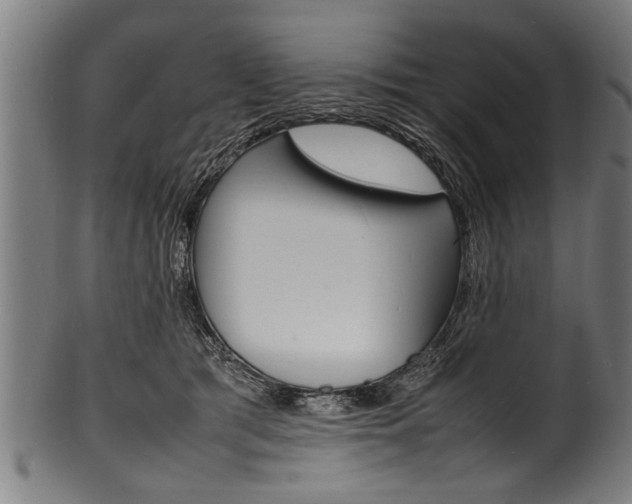 X0000100980417200806241153