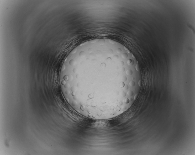 X0000100980418200806241153