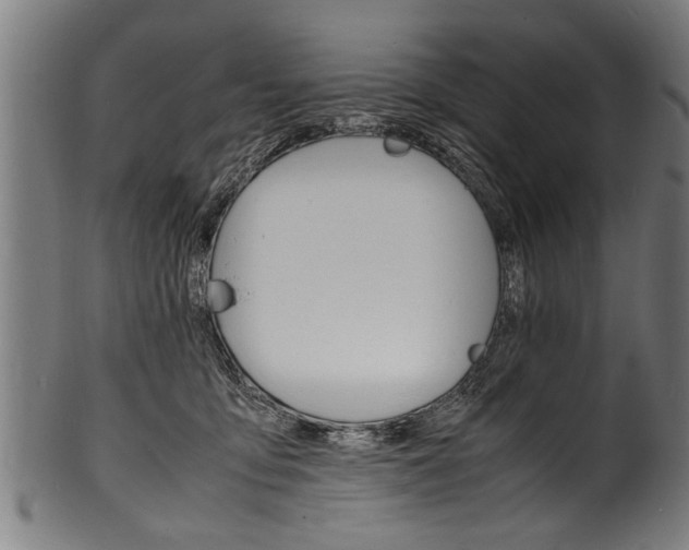 X0000100980419200806241153