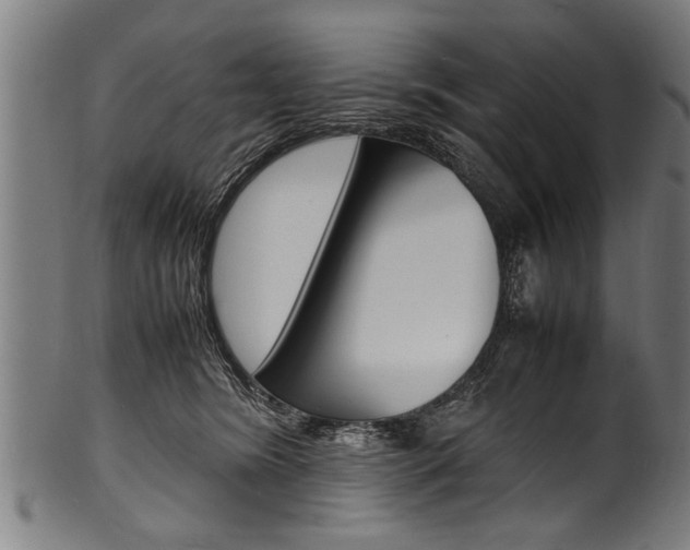 X0000100980420200806241153