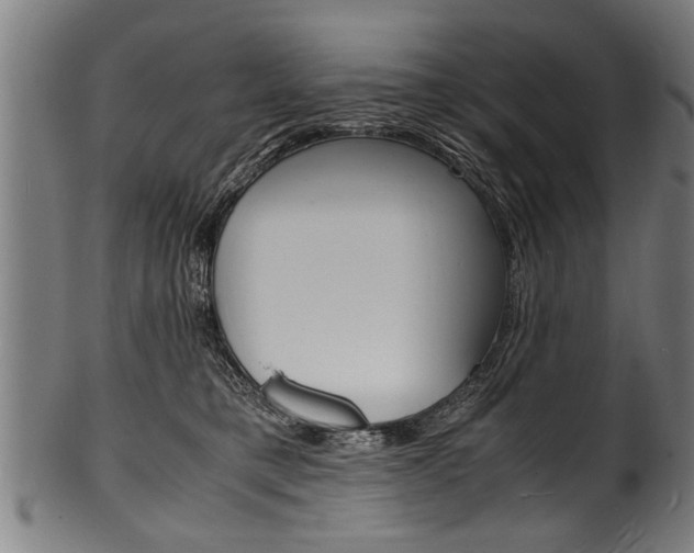 X0000100980421200806241153