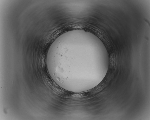 X0000100980422200806241153
