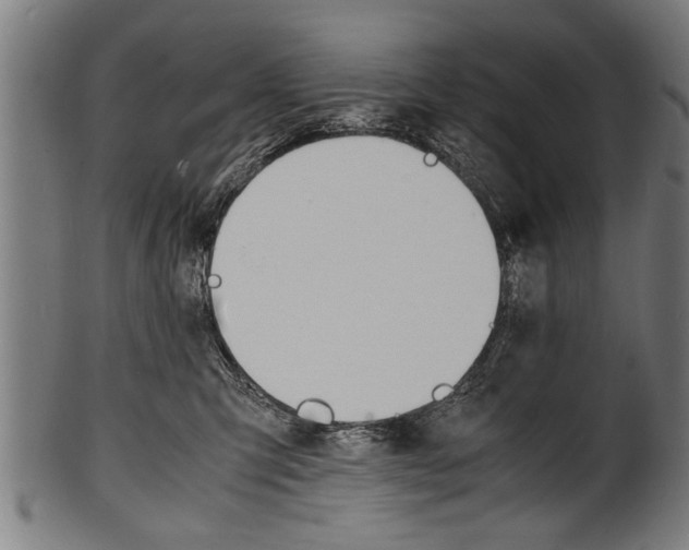 X0000100980423200806241153