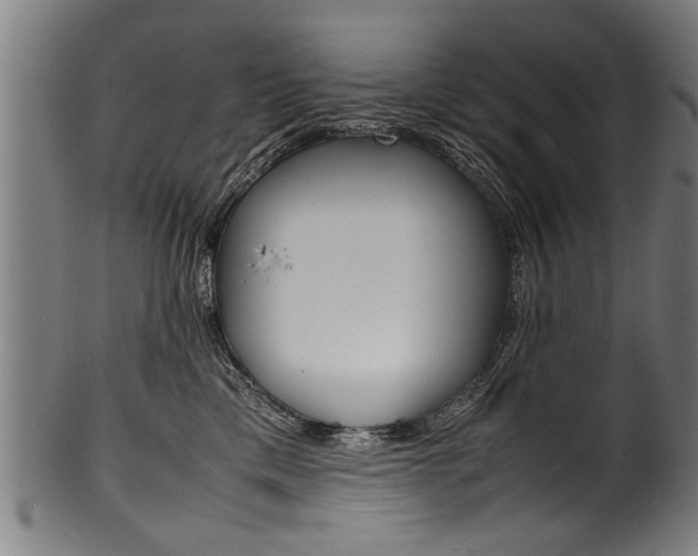 X0000100980425200806241153