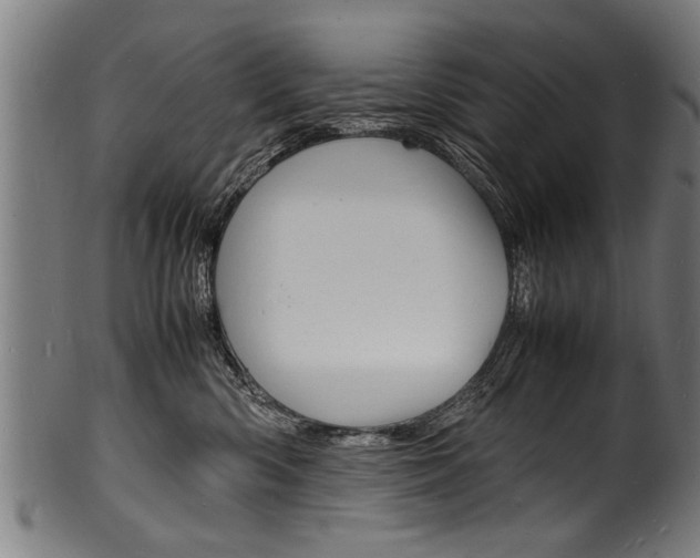 X0000100980426200806241153
