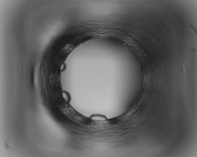 X0000100980429200806241153
