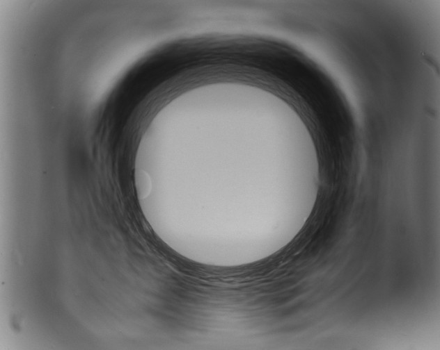 X0000100980431200806241153