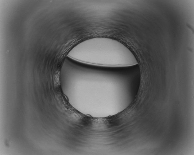 X0000100980432200806241153