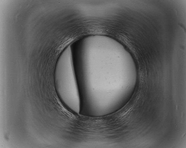 X0000100980433200806241152