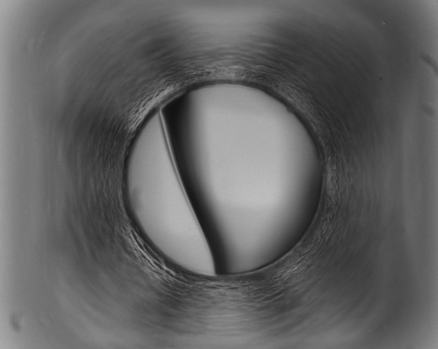 X0000100980434200806241152