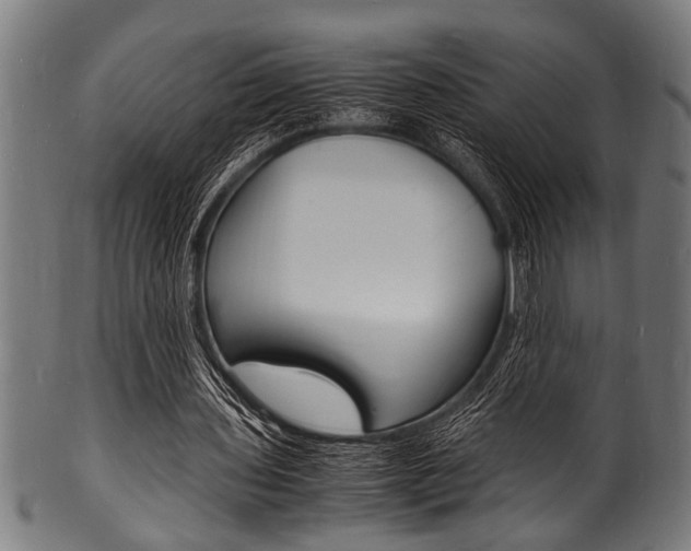 X0000100980435200806241152