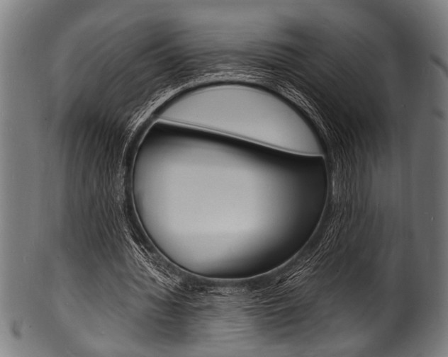 X0000100980436200806241152