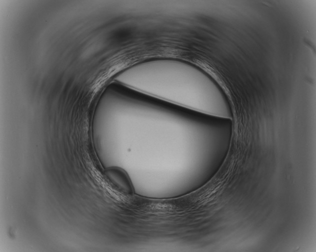 X0000100980437200806241152