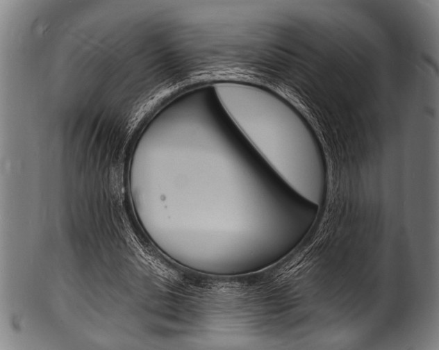 X0000100980438200806241152