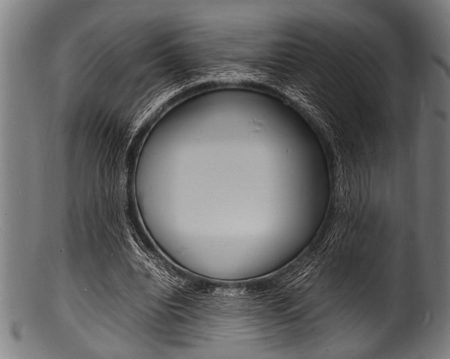 X0000100980440200806241152